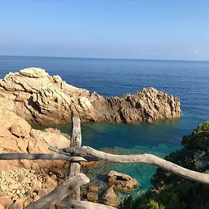 https://scoglio-a-costa-paradiso.in-sardinia.net