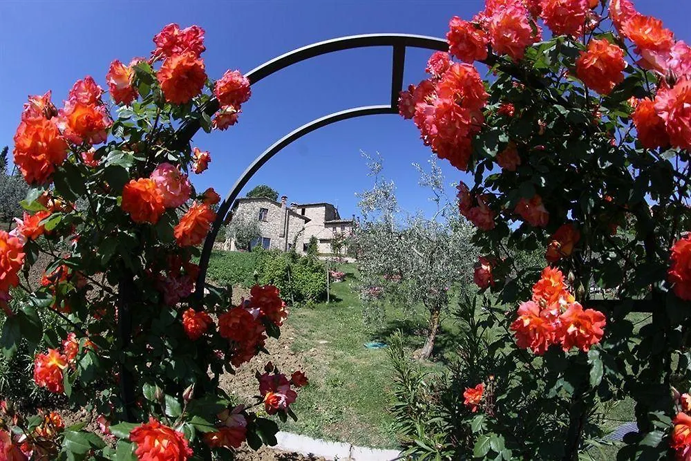 Agriturismo Ardene Montepulciano